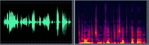 waveform vs spectral display Asterisk & HDVoice: Hearing The Siren’s Song Part 2