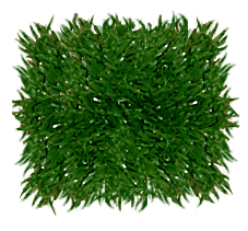 astroturf Disclosure