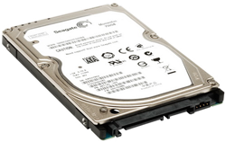 Seagate Momentus XT 750 GB 250px Another Hard Drive Bytes The Dust, But Is It A Momentus Moment?
